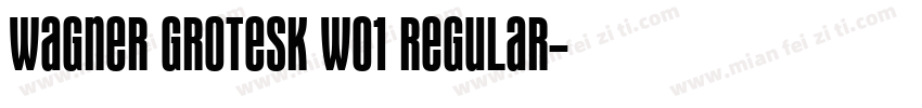 Wagner Grotesk W01 Regular字体转换